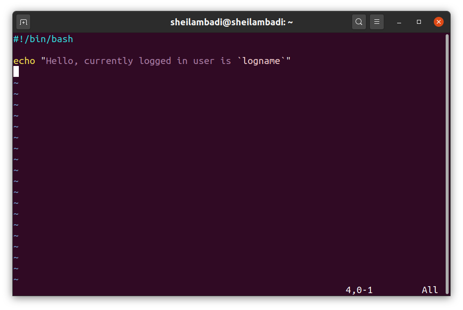 Writing Your First Shell Bash Script By Sheila Mbadi The Startup Medium