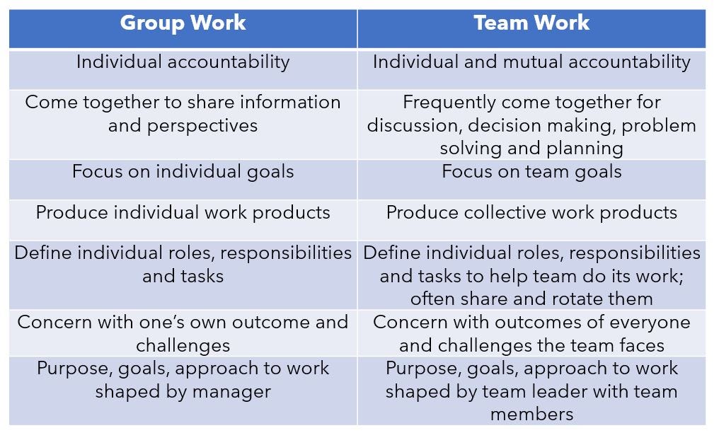 Roles and responsibilities of group members