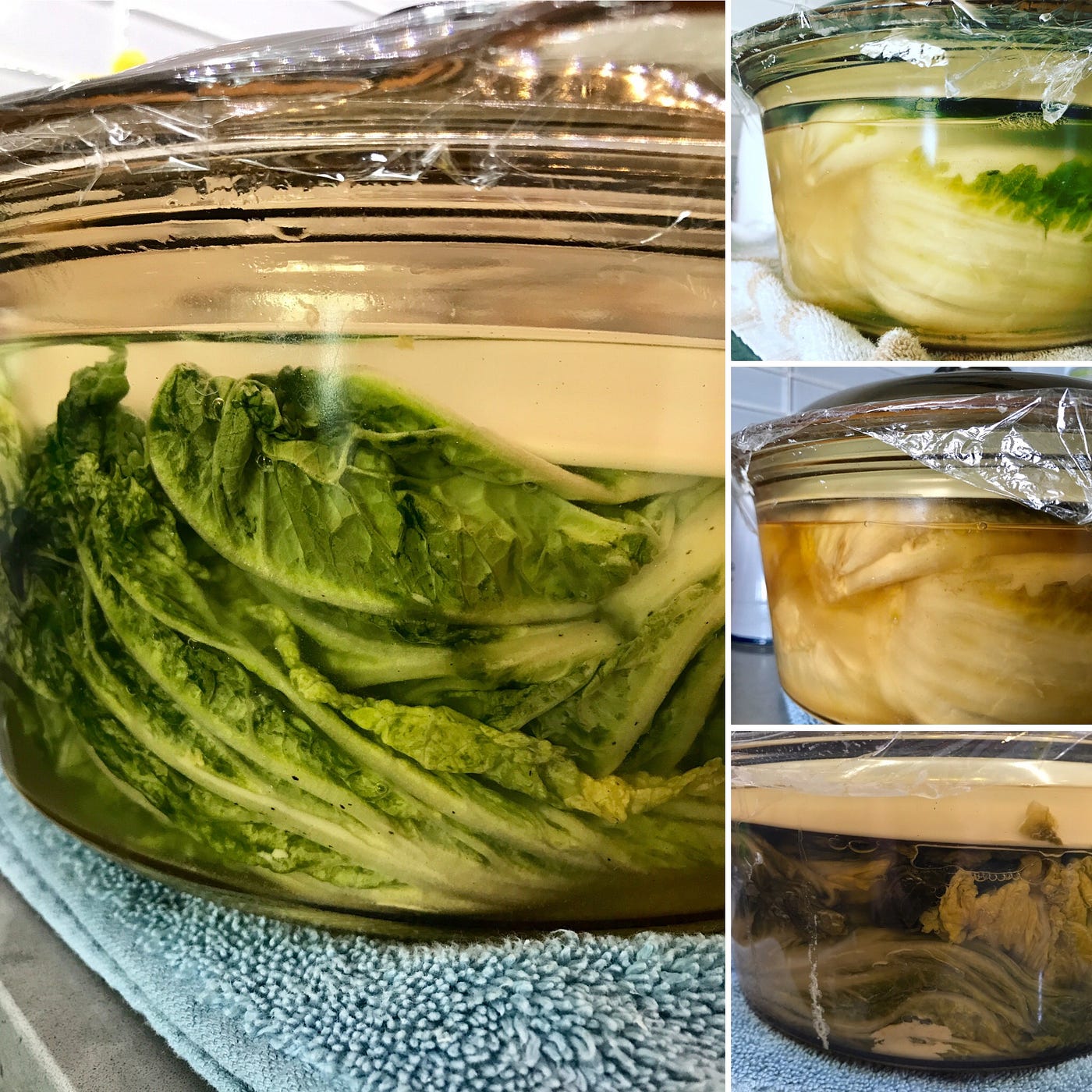 Fermented Cabbage. Fermentation always make good things… by Mei Wong