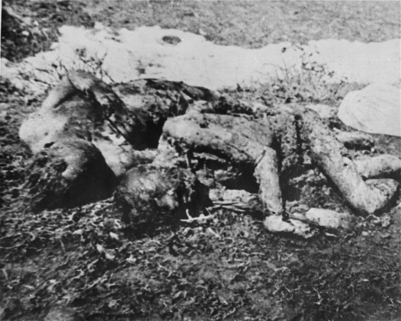 The Horrific Jasenovac Concentration Camp a.k.a. The Auschwitz of Balkans |  History of Yesterday