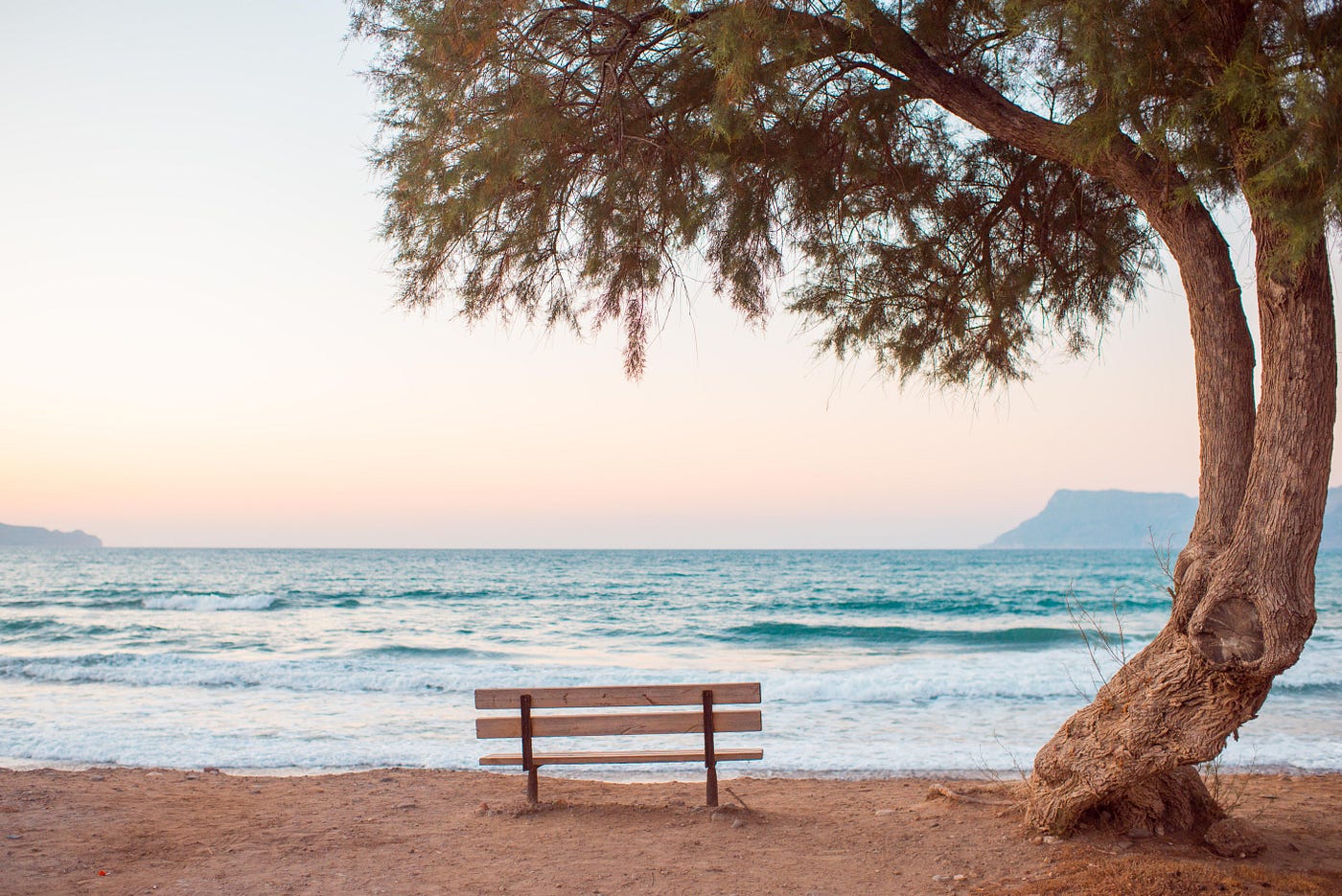 A beach with a crooked wooden bench and a crooked tree.