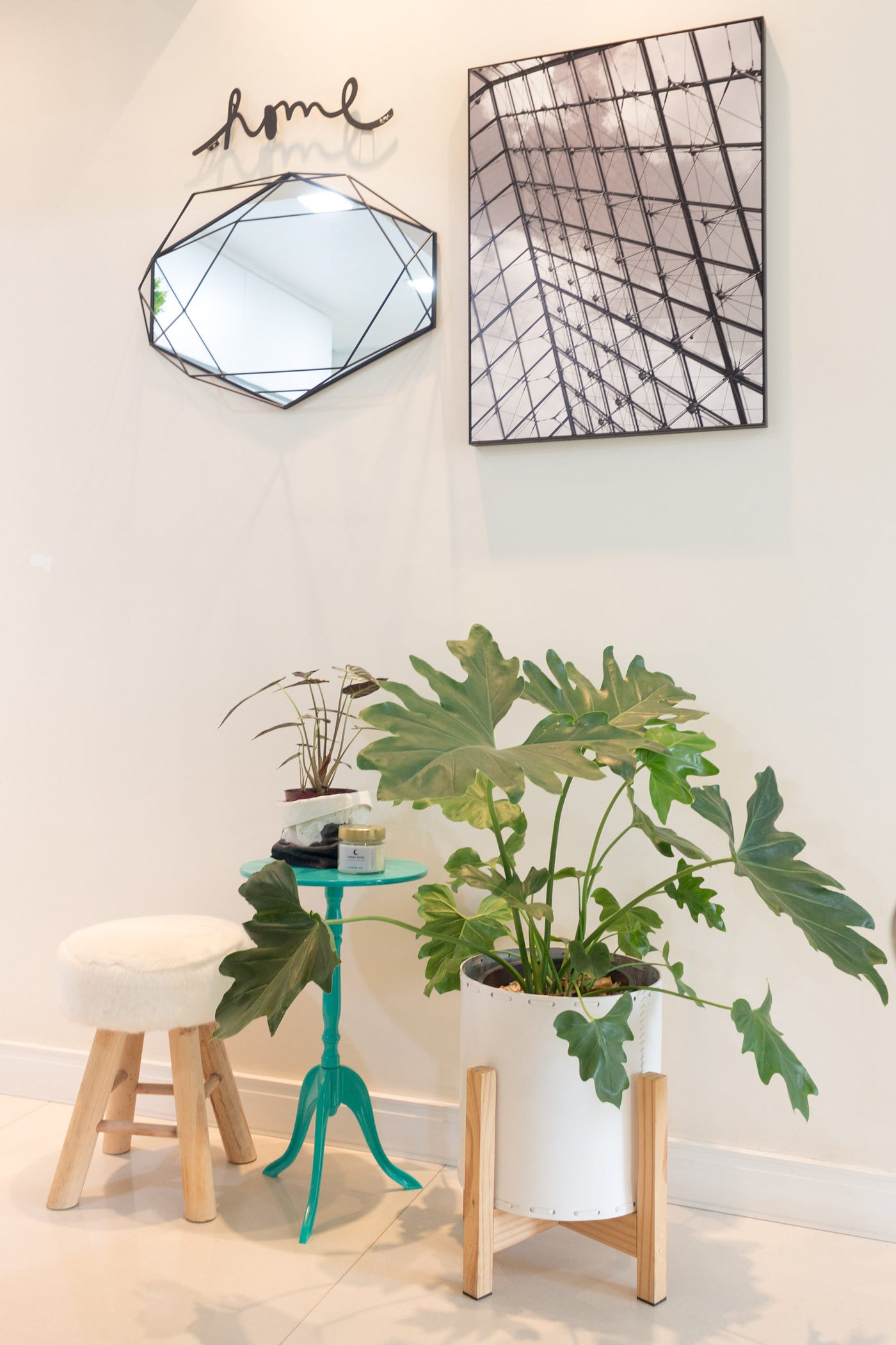 Indoor plants