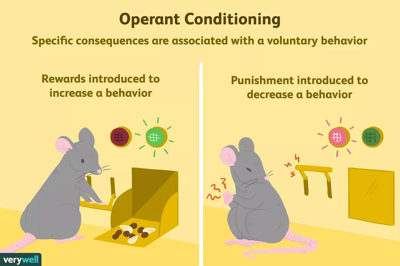 Psychological impacts of user interfaces Operant Conditioning