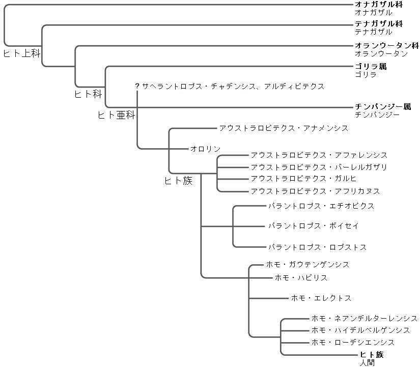 生物学 第2版 第29章 脊椎動物 Japanese Translation Of Biology 2e By Better Late Than Never Medium
