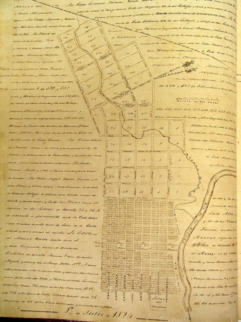 Texas Society, Daughters of the American Revolution Helps Save Texas