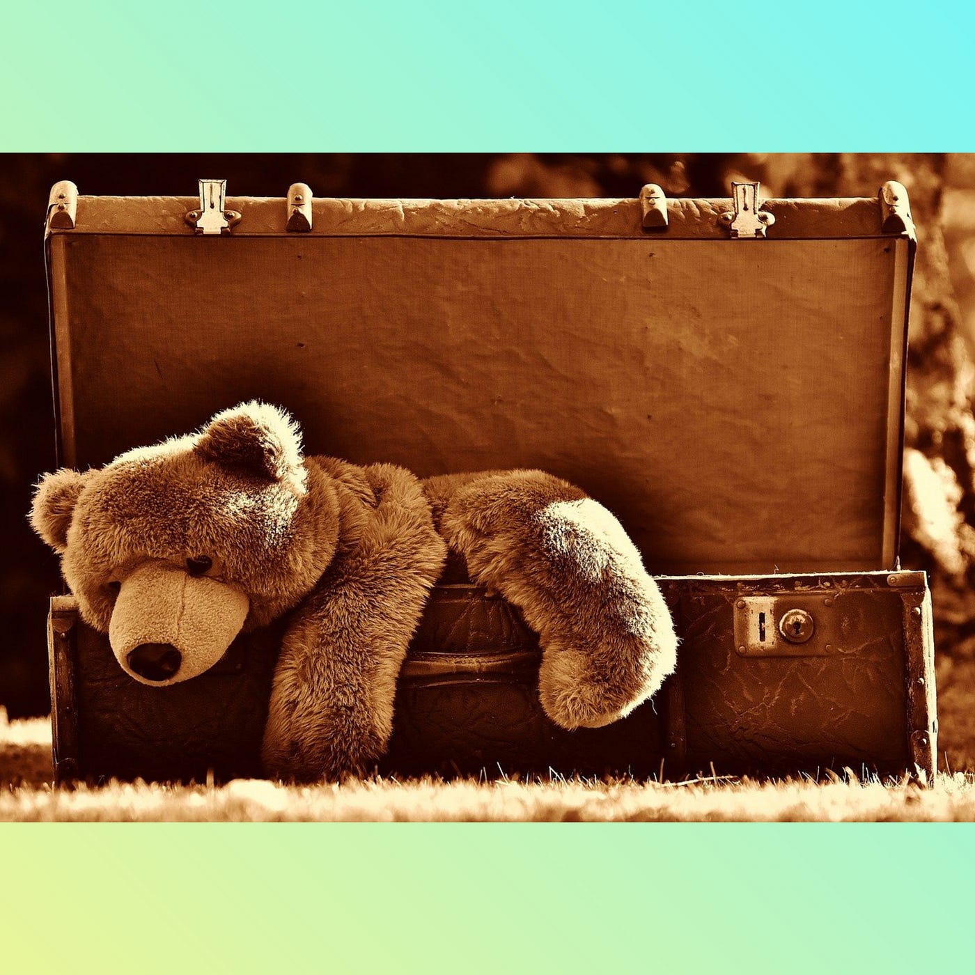 Playing Boo with Bears. Short fiction by Rhoda Anne