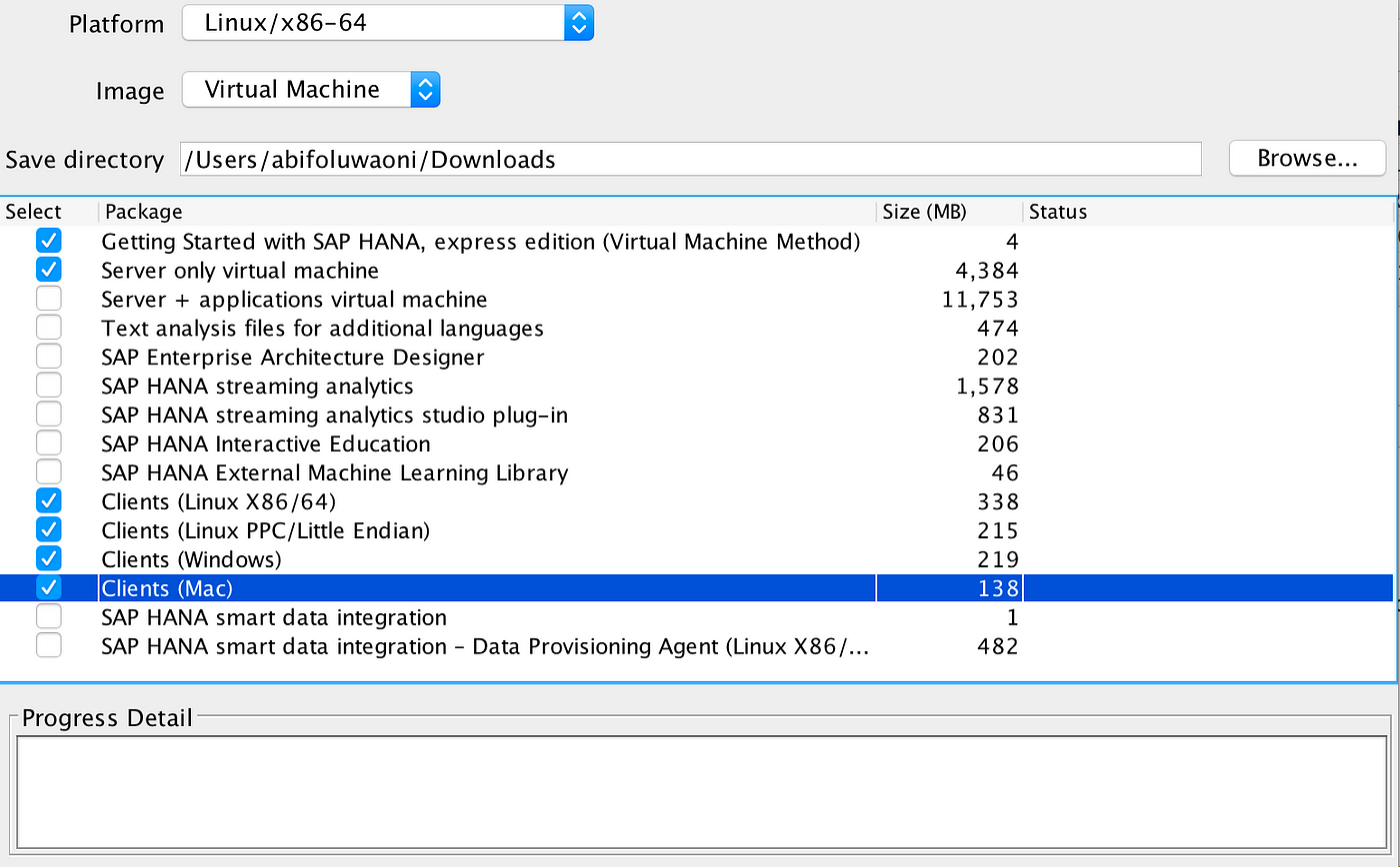 how to install sap download manager how to install sap download manager