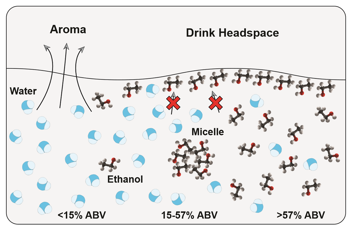 The Spirit Within The Effect of Ethanol on Drink Perception by