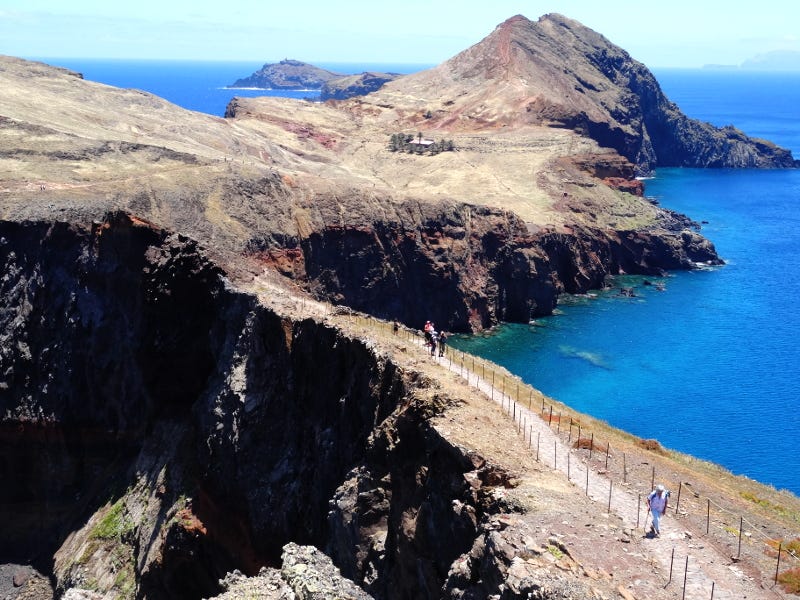 What To See In Madeira + Bus Transport On The Island. A Note From Our ...