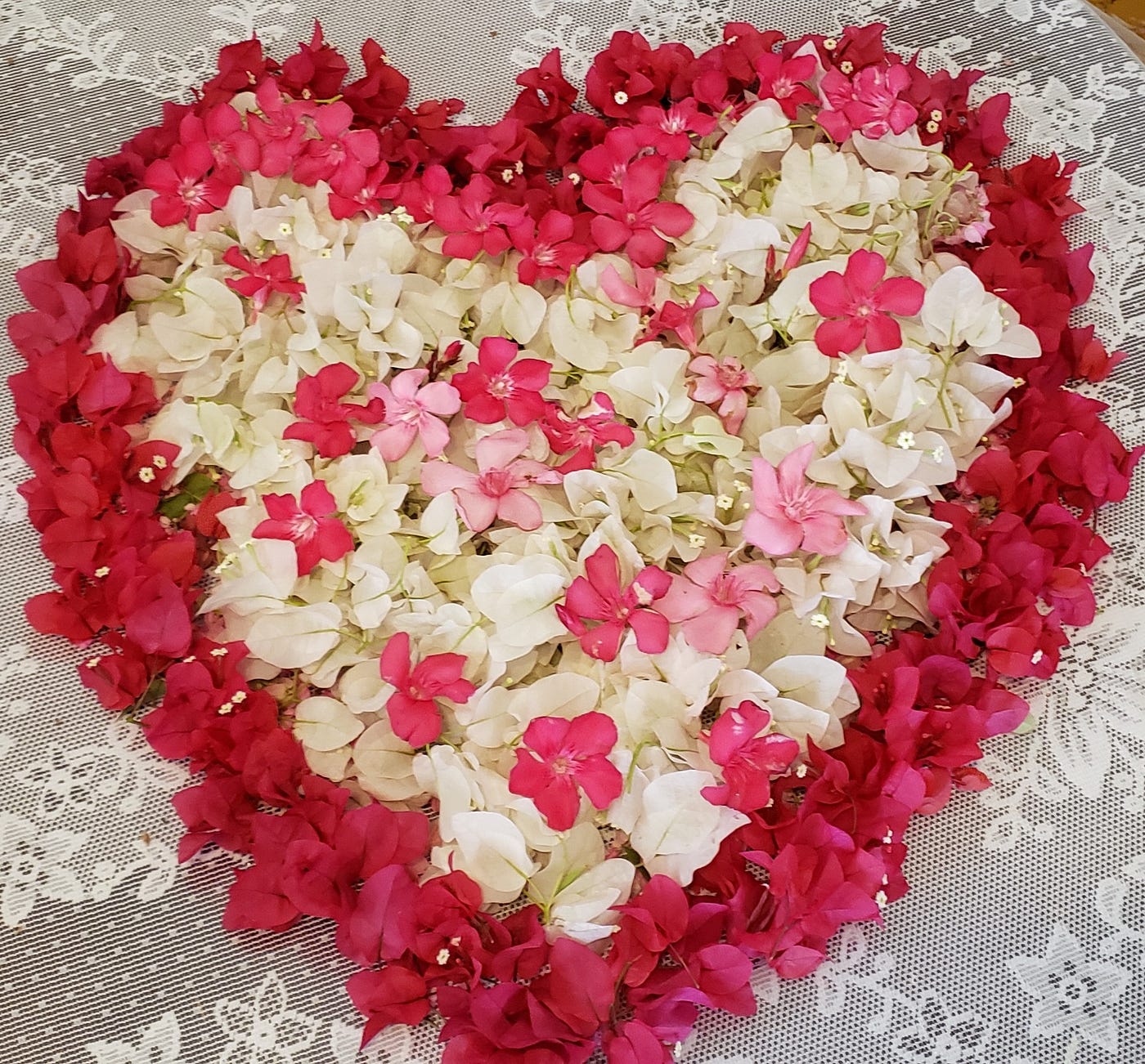 What Does Your Heart Say?. And she wailed, “If only my heart could