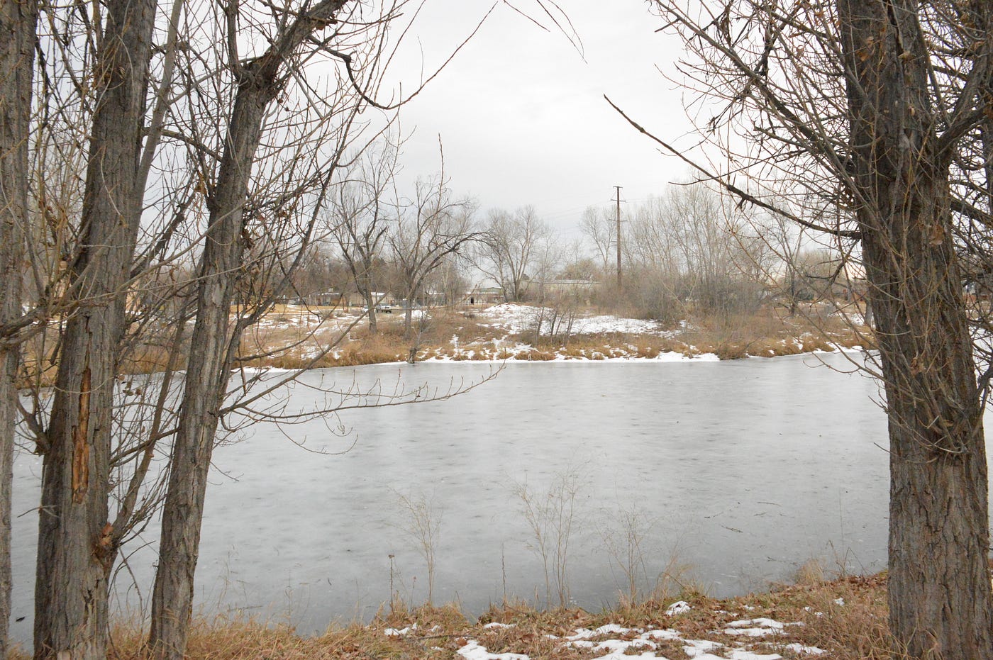 Top 5 Dog Parks in Fort Collins. Fort Collins wouldn’t be Fort Collins… by AJ Frankson Medium