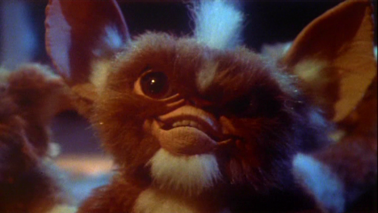 There S A Lot We Don T Know About Mogwai And That S A Problem By Seth G Macy Medium