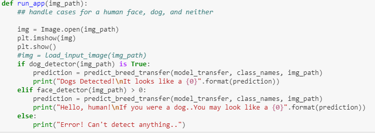 Identifying Dog Breeds using Deep Learning | by Moumita Mukherjee | Medium