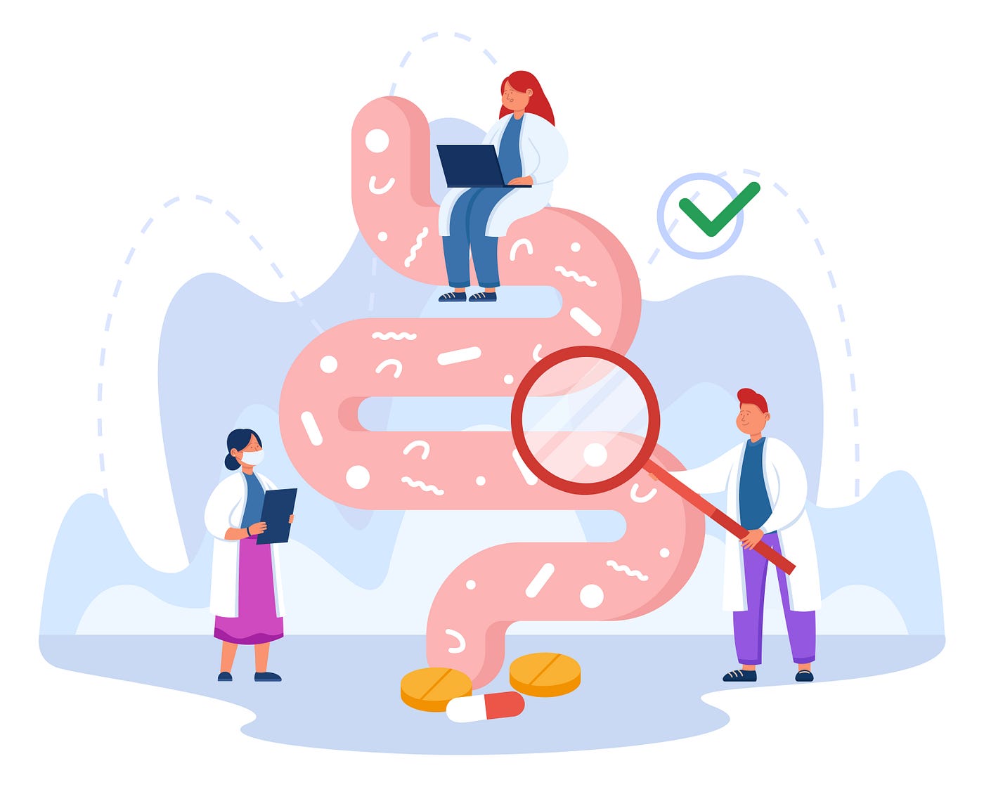 vector illustration of tiny doctors examining gut flora flat, checking digestive system, gastrointestinal tract, bowel for friendly microorganisms or bacteria