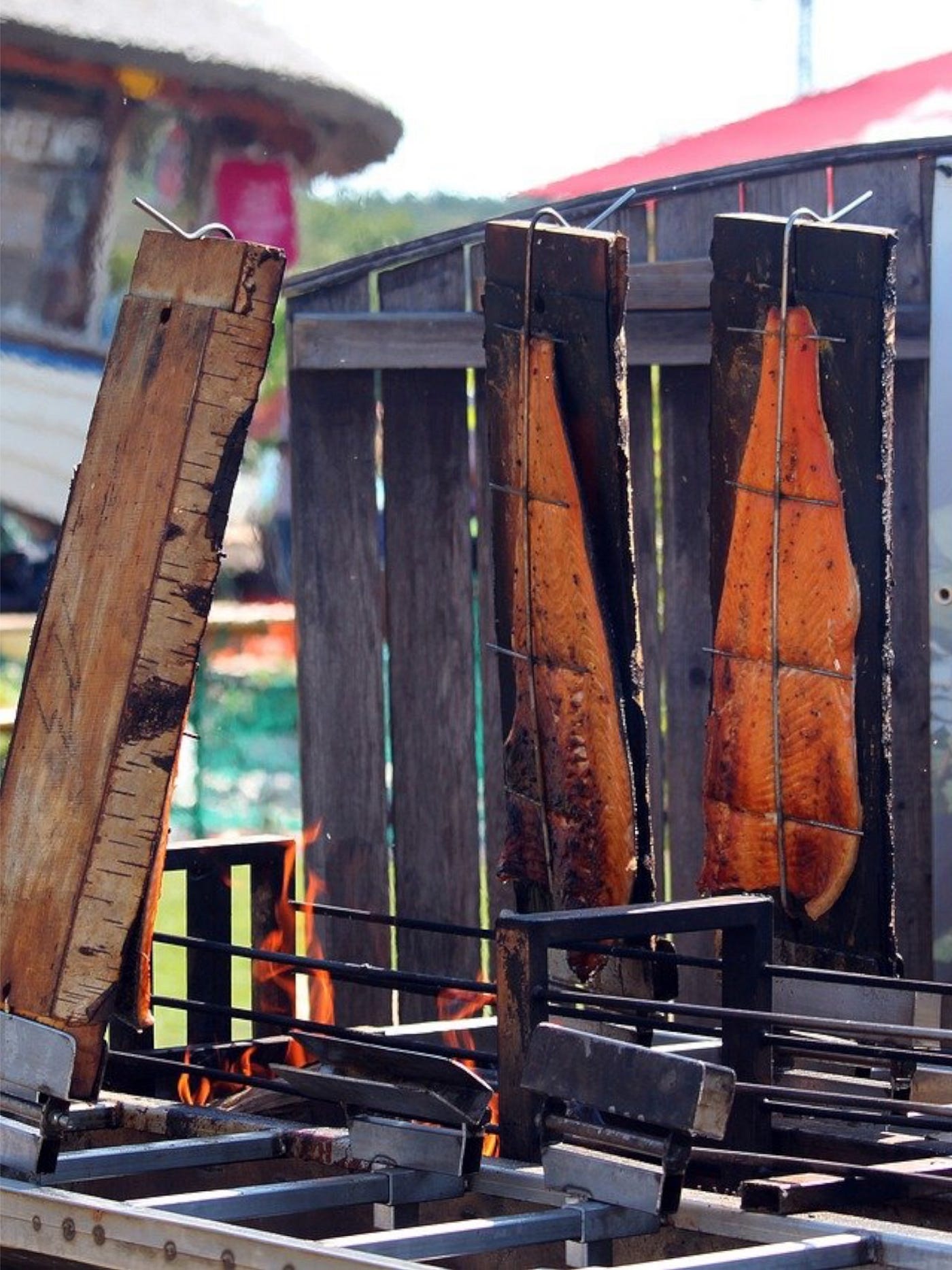Color photo of large pieces of salmon being smoked outside in a makeshift smokehouse on a rack.
