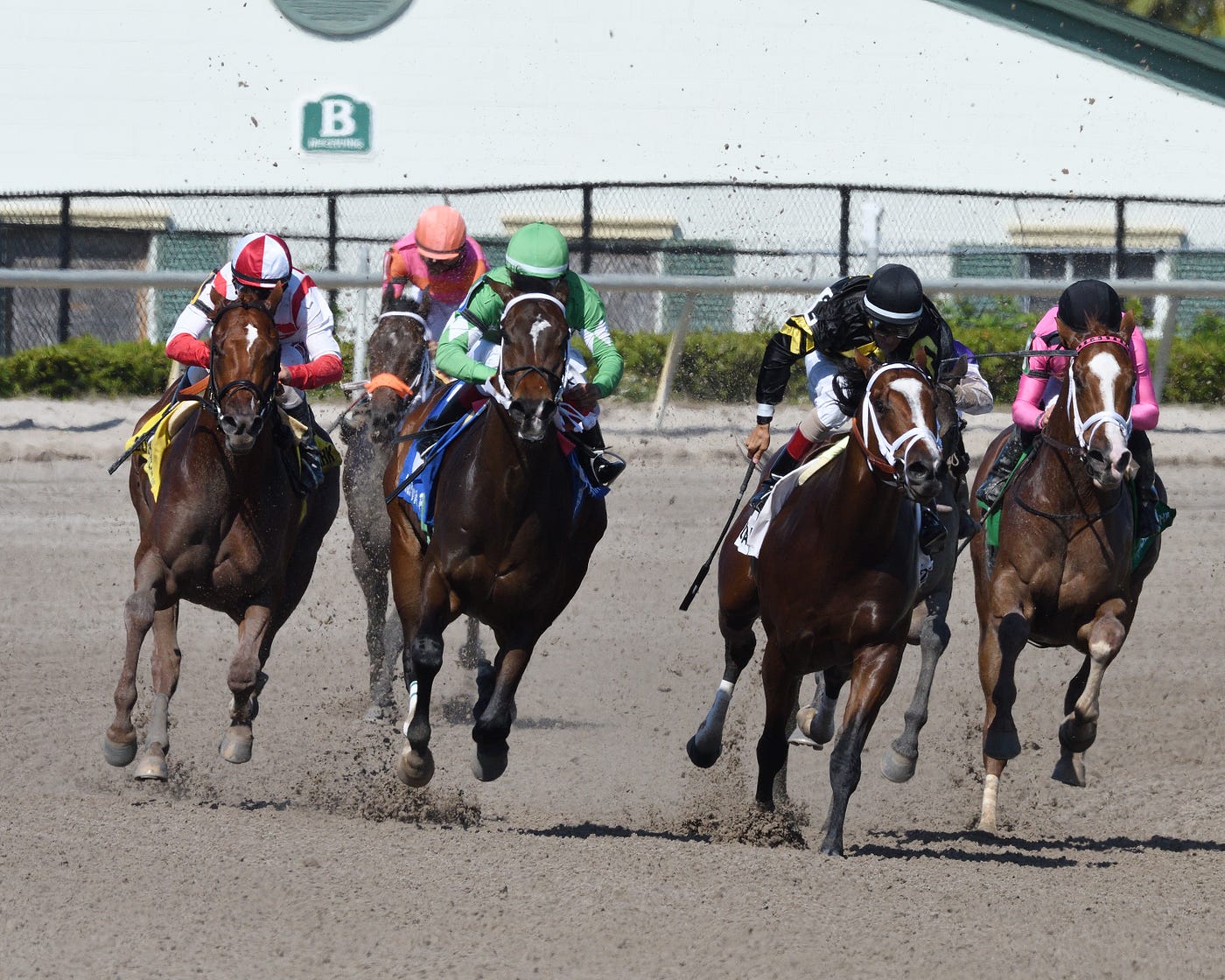 How To Bet An Exacta On The Kentucky Derby By Horse Racing Tips Medium