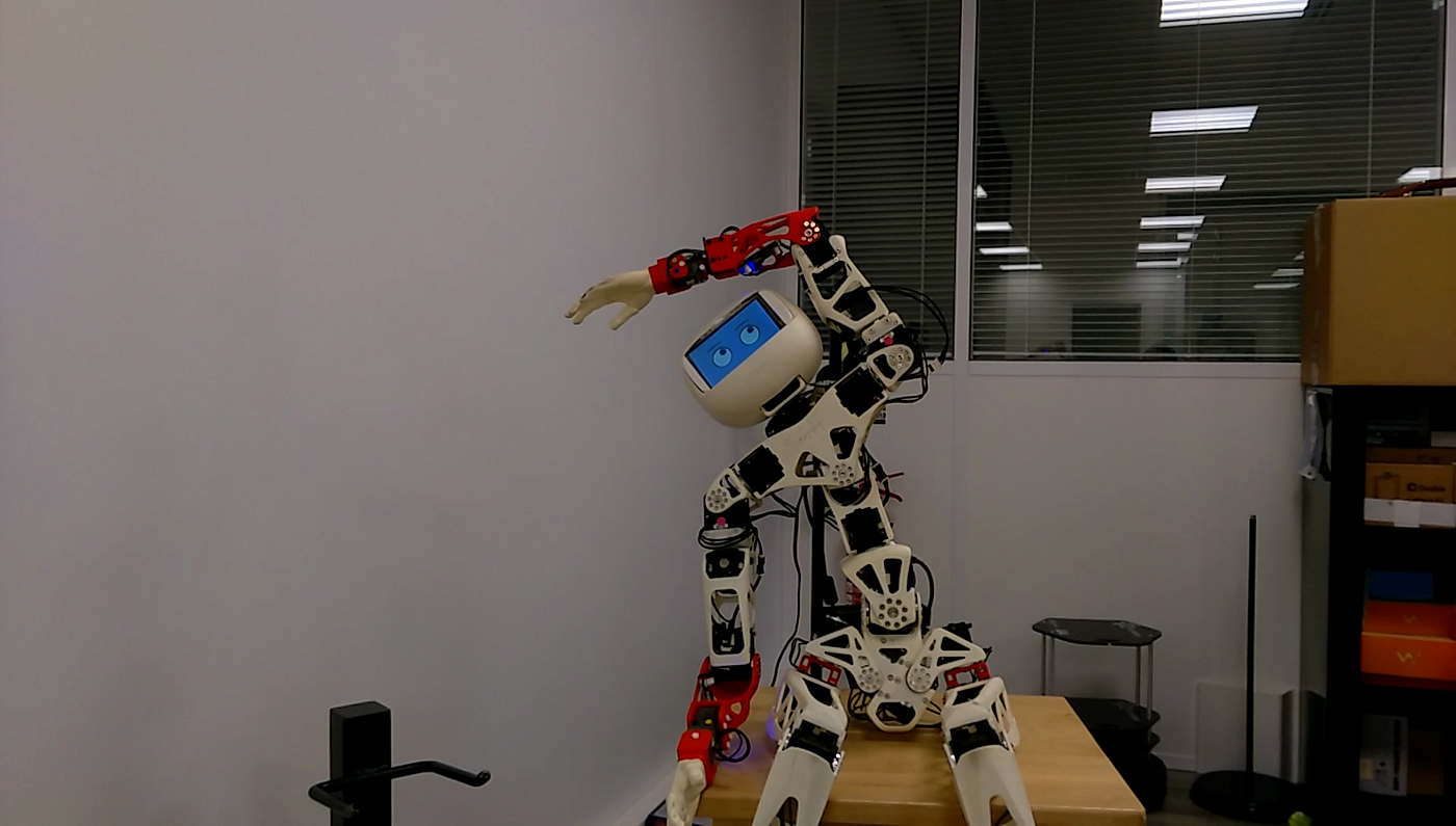 Poppy Humanoid the Anthropomorphic Open Source Robot | by Maith Egeek |  Medium