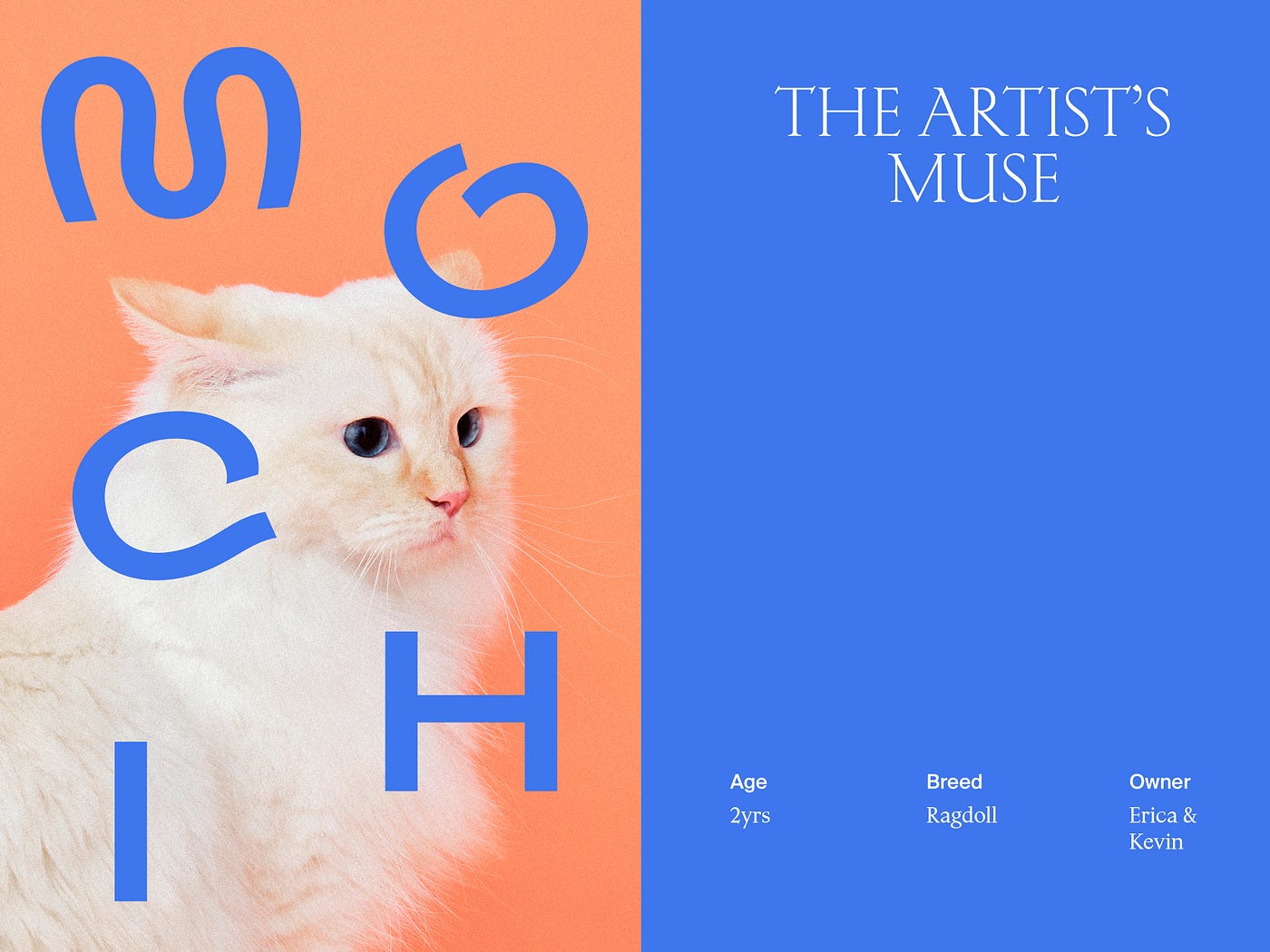 Exploring Visual Brand Identity What Does A “Cat Person” Look Like