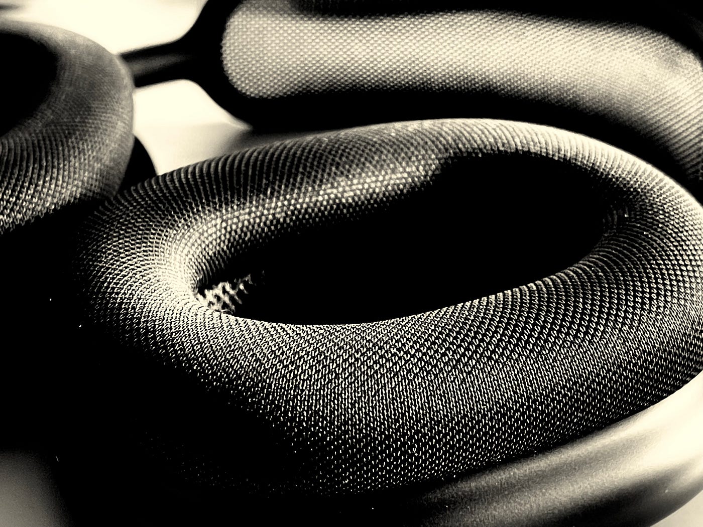 AirPods Max Ear Cushions close up.
