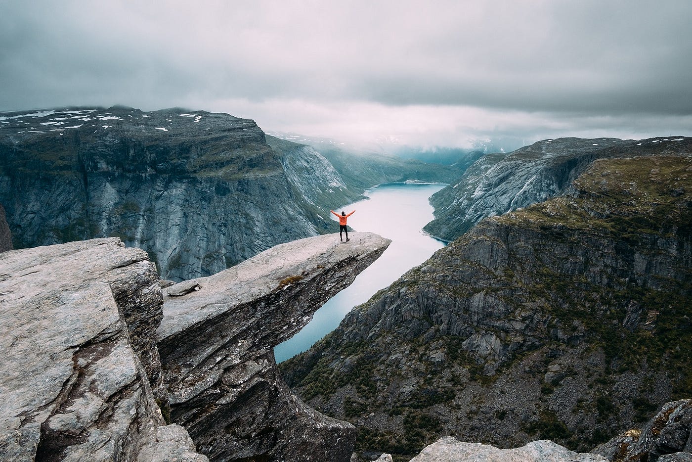 5 Secrets About 'Learning' You Should Adapt From Nature | by Shreya Singh |  Hapramp Studio | Medium