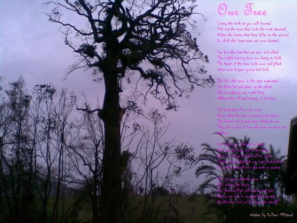 Out Tree. Is Dying. A poem by Colleen Millsteed.
