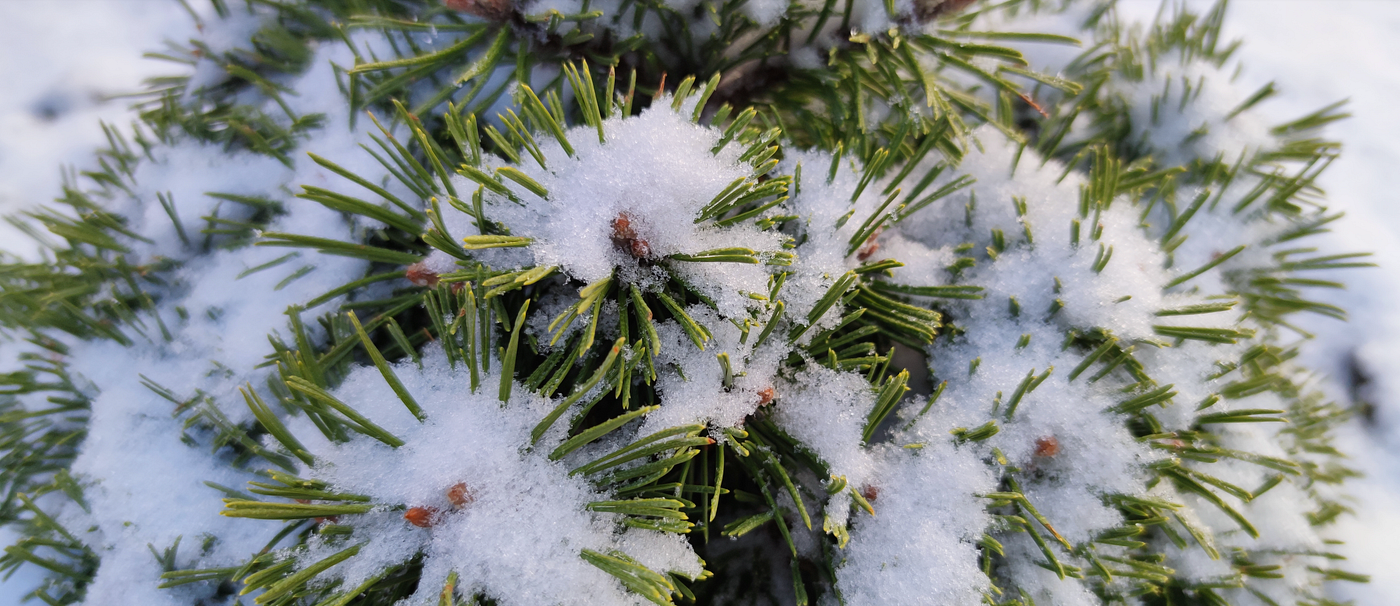 MultiOutput Model with TensorFlow Keras Functional API by Andrej