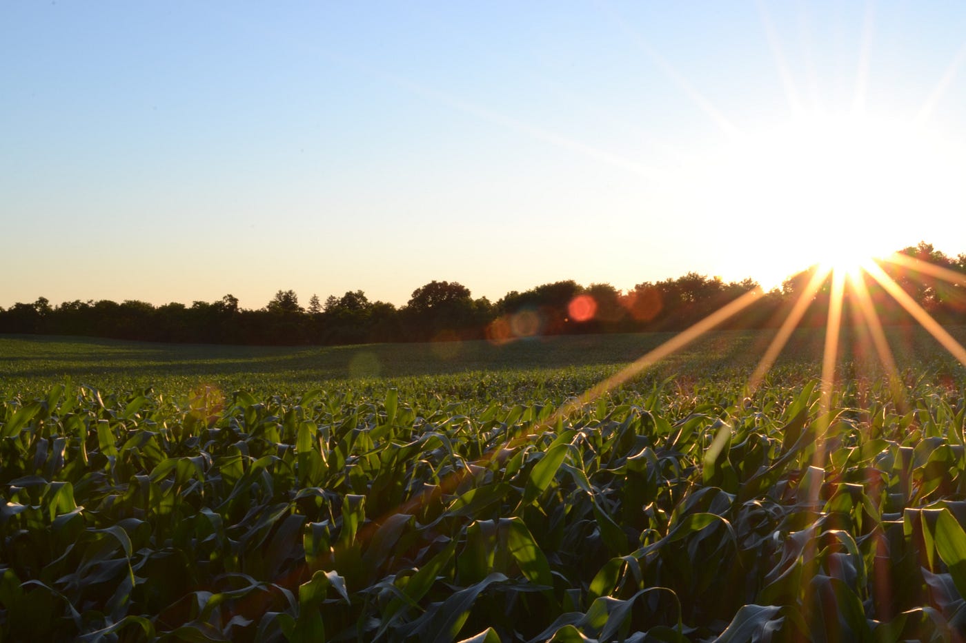 regenerative farming global warming solution