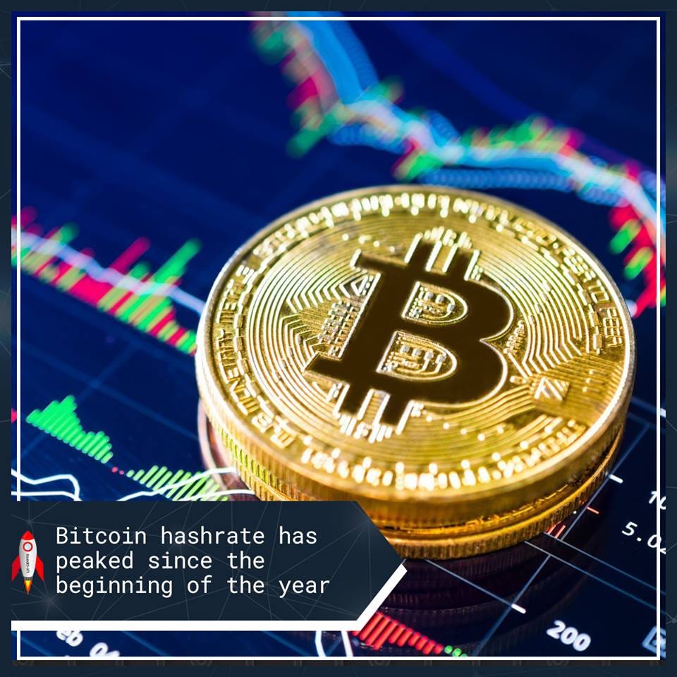 Bitcoin Hashrate, CMC Index, Binance Leverage by LHCrypto Medium