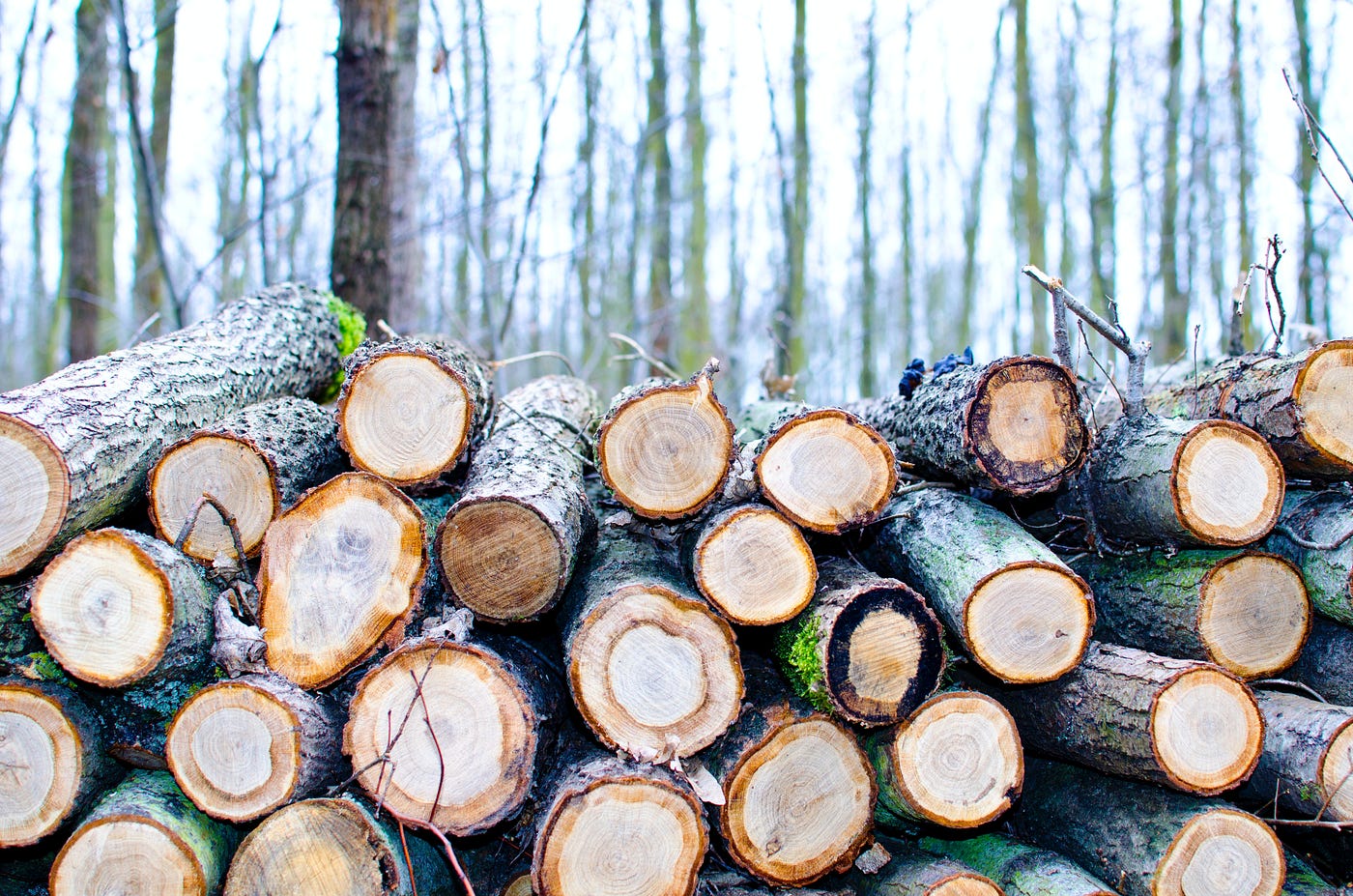 How To Log Guzzle Requests. A simpler way to update your middleware | by Michael Stivala | Sep, 2022 1 1*WJCtL6GS4oenfvbQ44Se2g