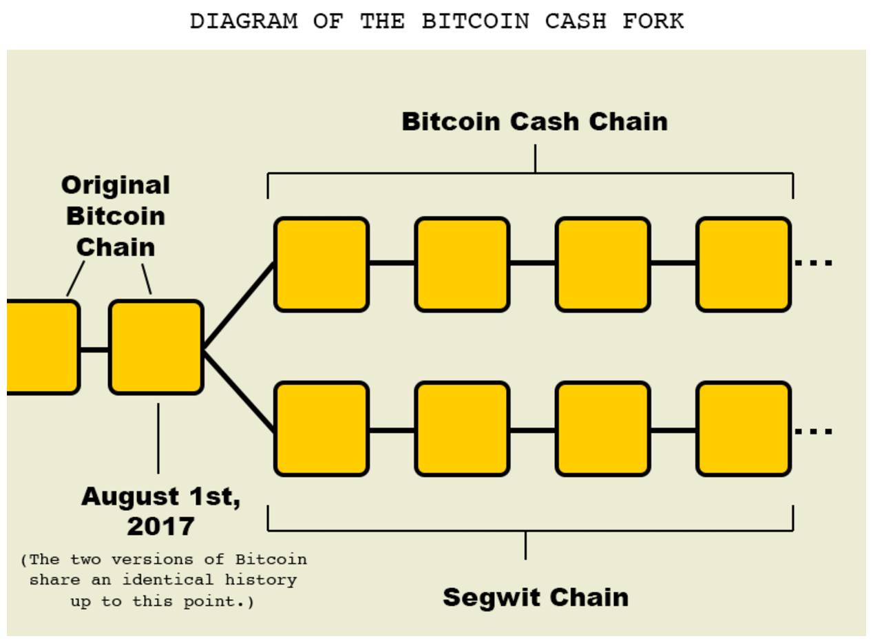 The Secure Wallet Will Support Major Bitcoin Forks Ecomi Medium - 