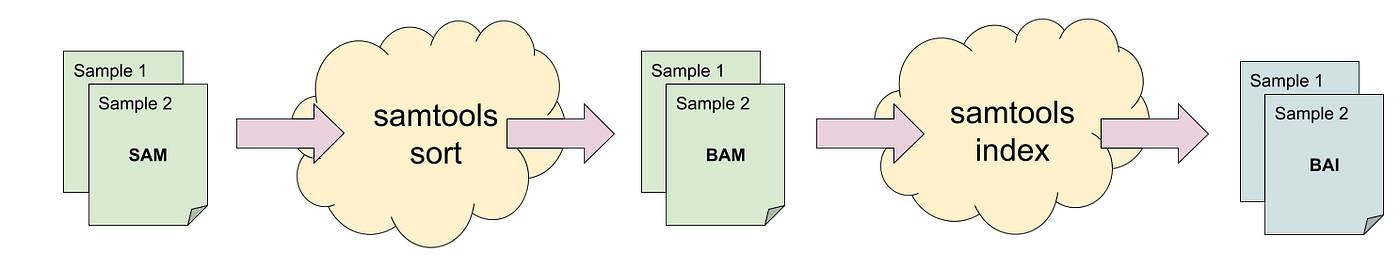 samtools threads samtools threads