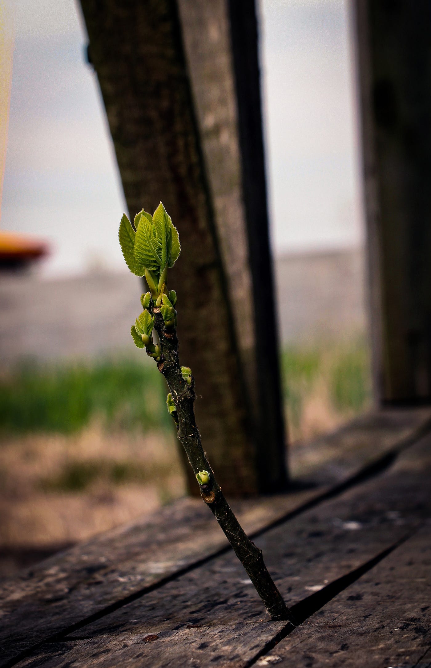 Photo credit: https://unsplash.com/photos/dLEVjiwvKMo