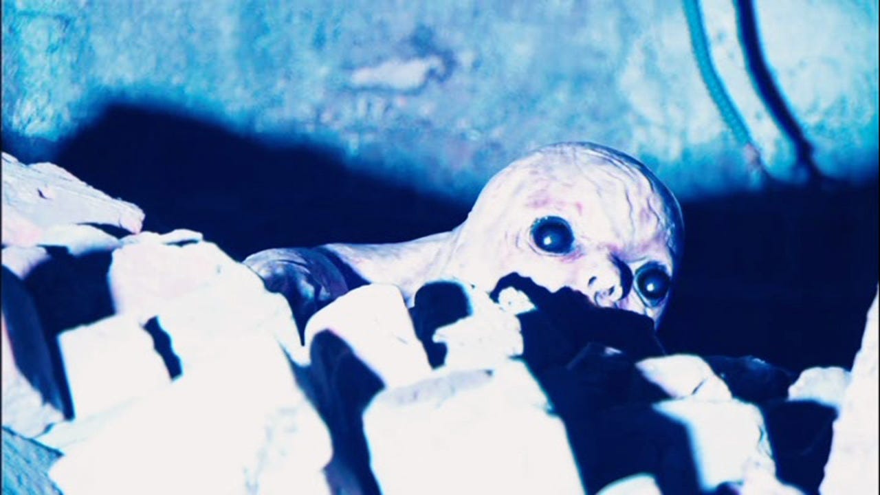 A creature in a tunnel appears thanks to the flash of a camera.