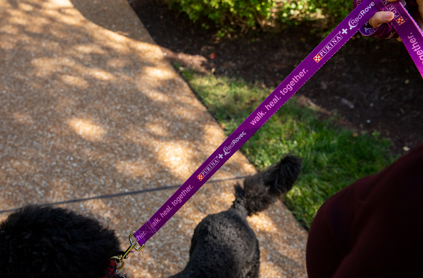 purple leash project