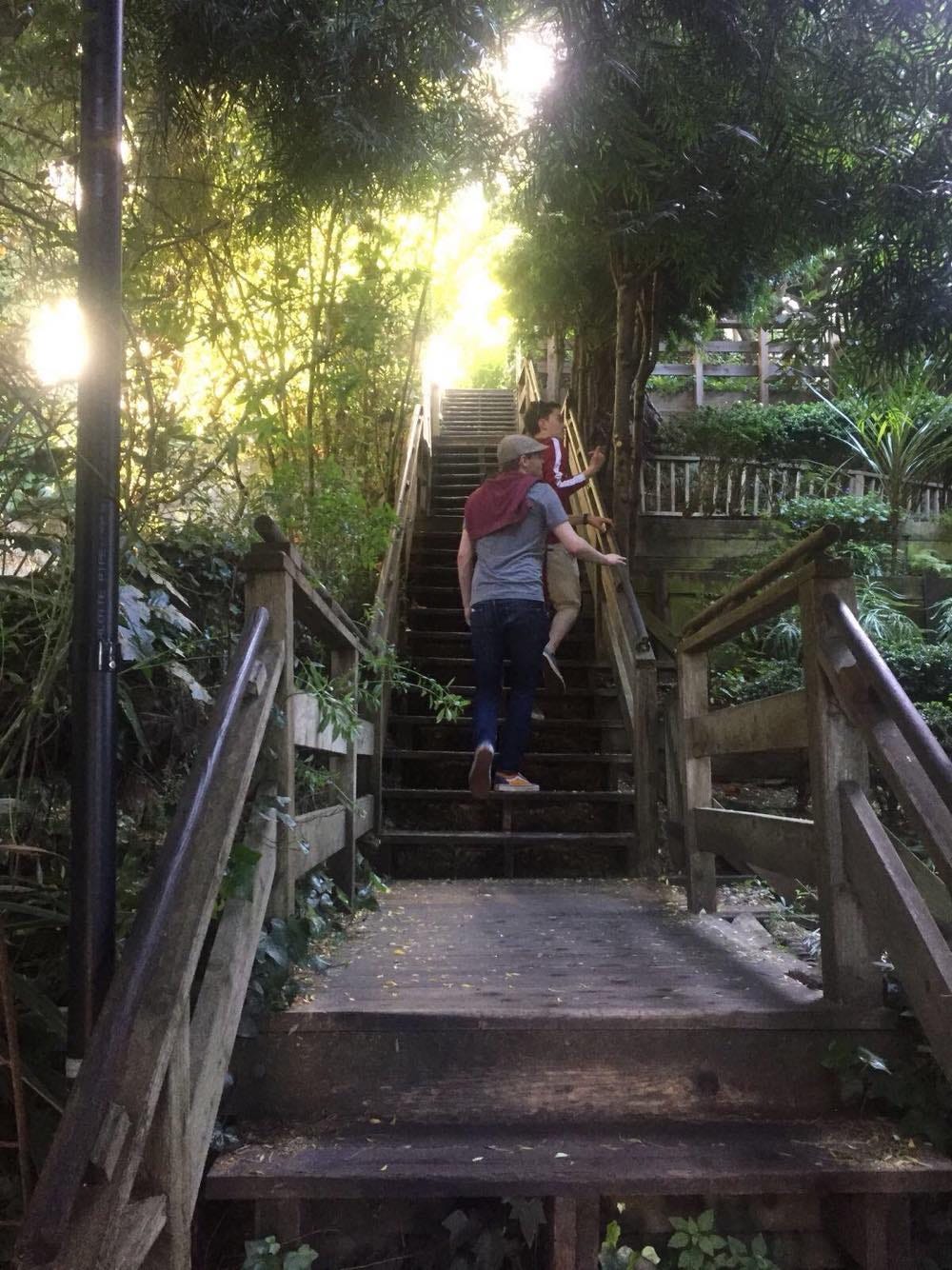 Two men go up wooden stairs in a lush green area in San Francisco.