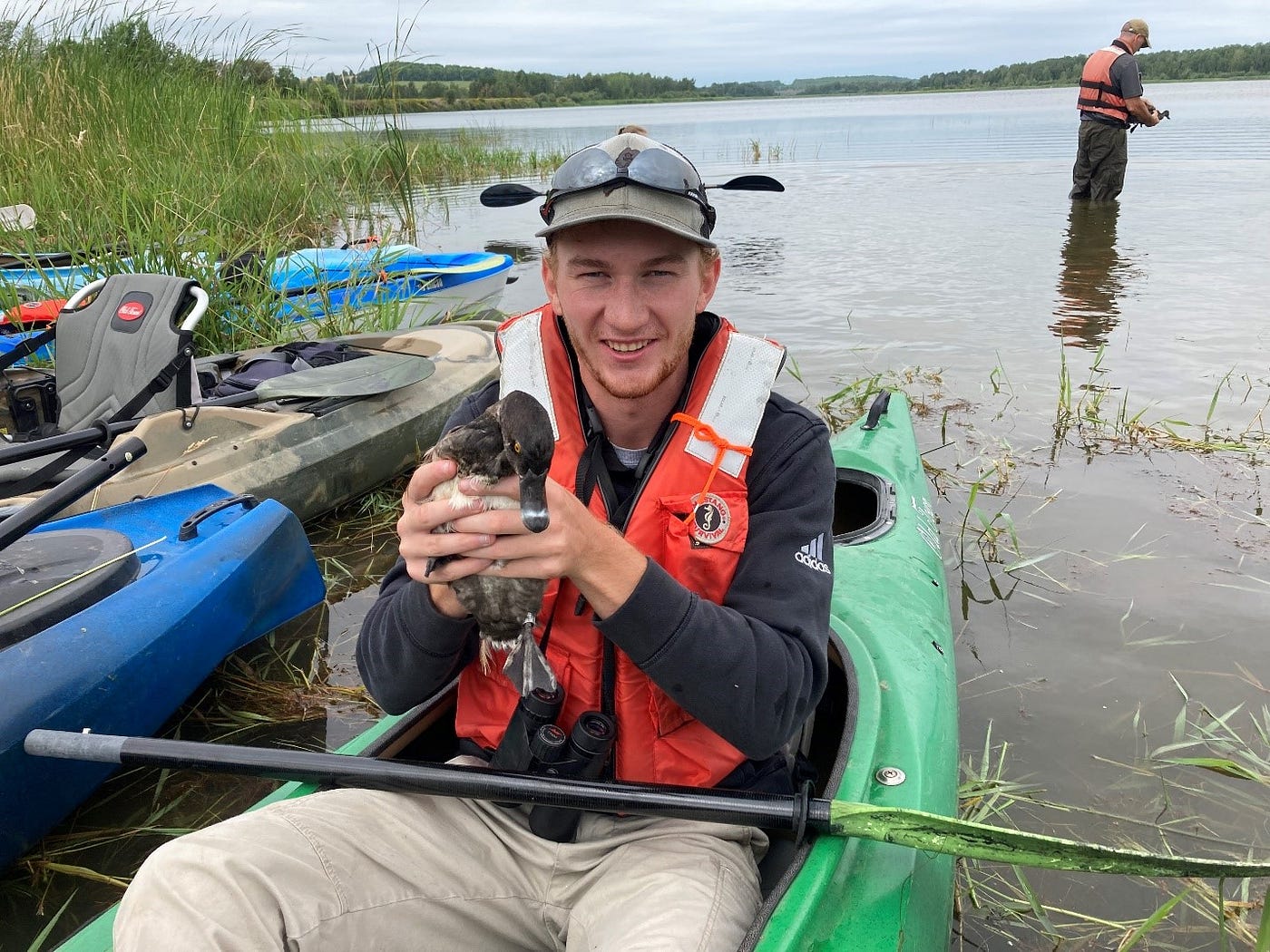 Biologist sitting in a kayak holding a ring-necked duck