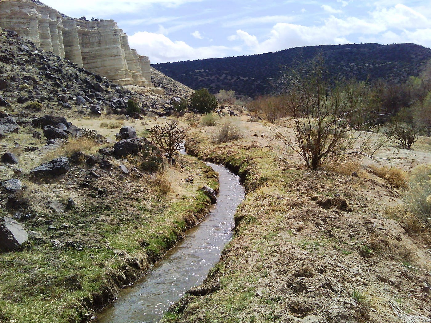 An acequia in New Mexico