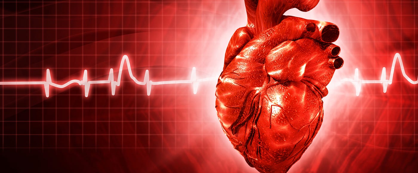 Predicting Heart Disease Mortality By Raymond Willey Towards Data 