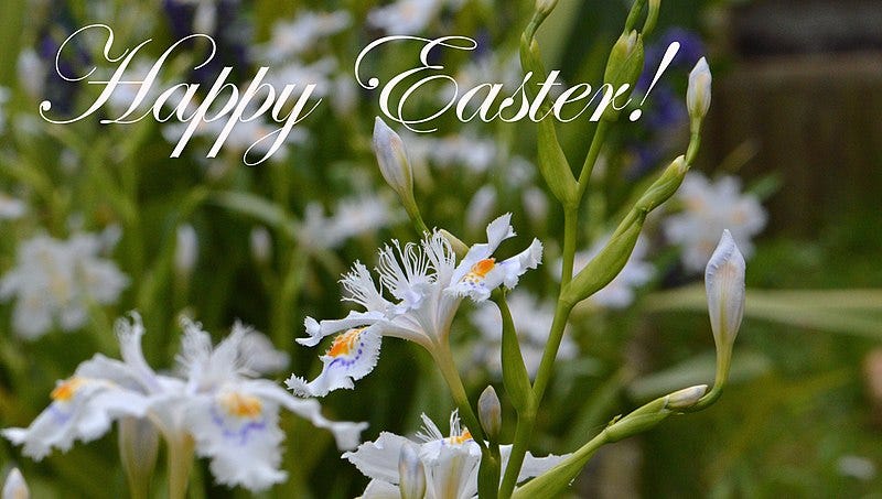 Buona Pasqua! Happy Easter Courtesy of Wikimedia Commons