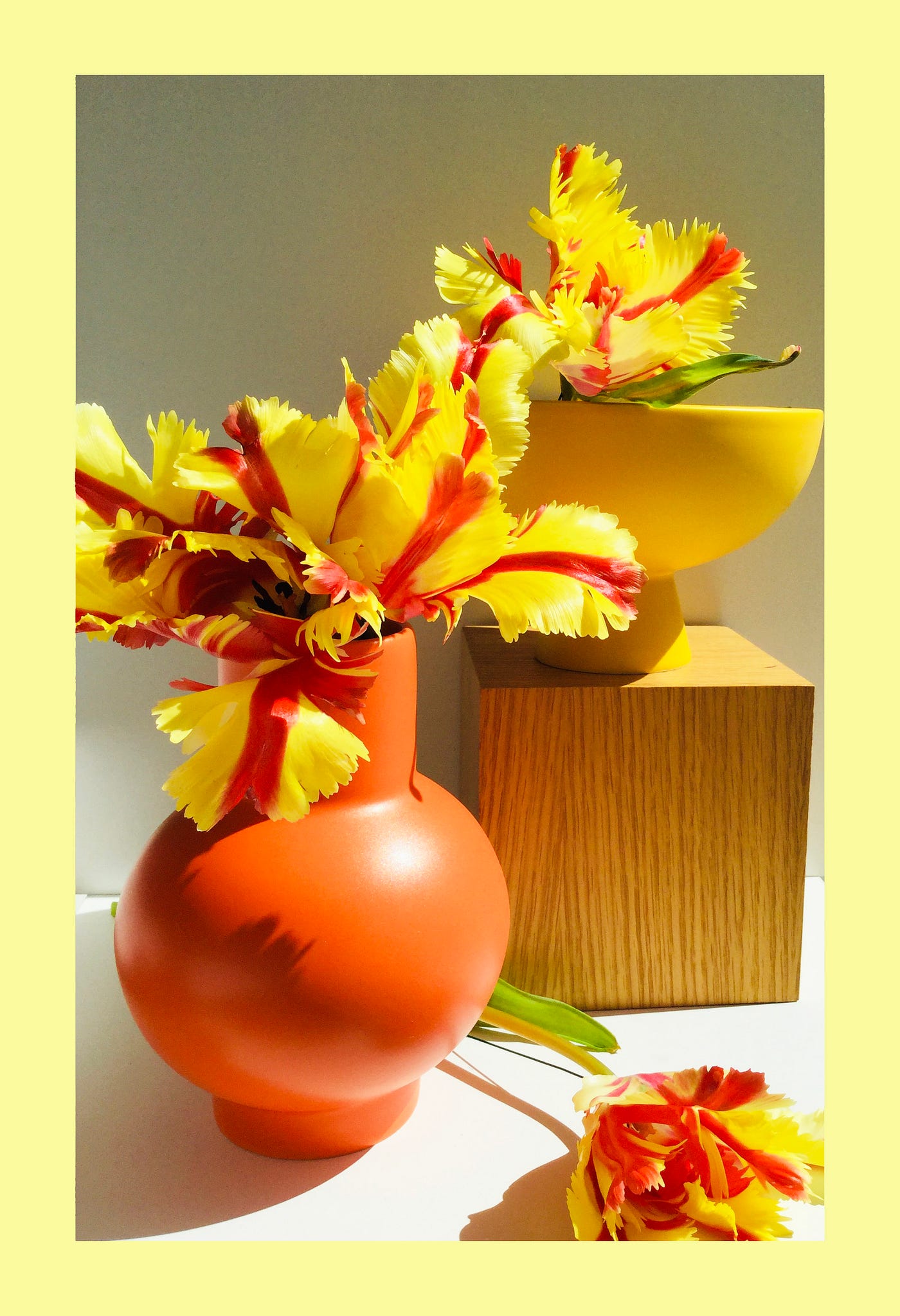 Photo of two minimal vessels — an orange vase and a yellow bowl — holding beautiful yellow and red fringed tulips.