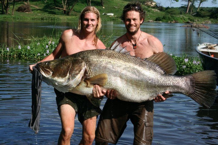 Nile Perch Fish Can Be Found In Lake Victoria By Fishsurfing Travel Inspiration Medium
