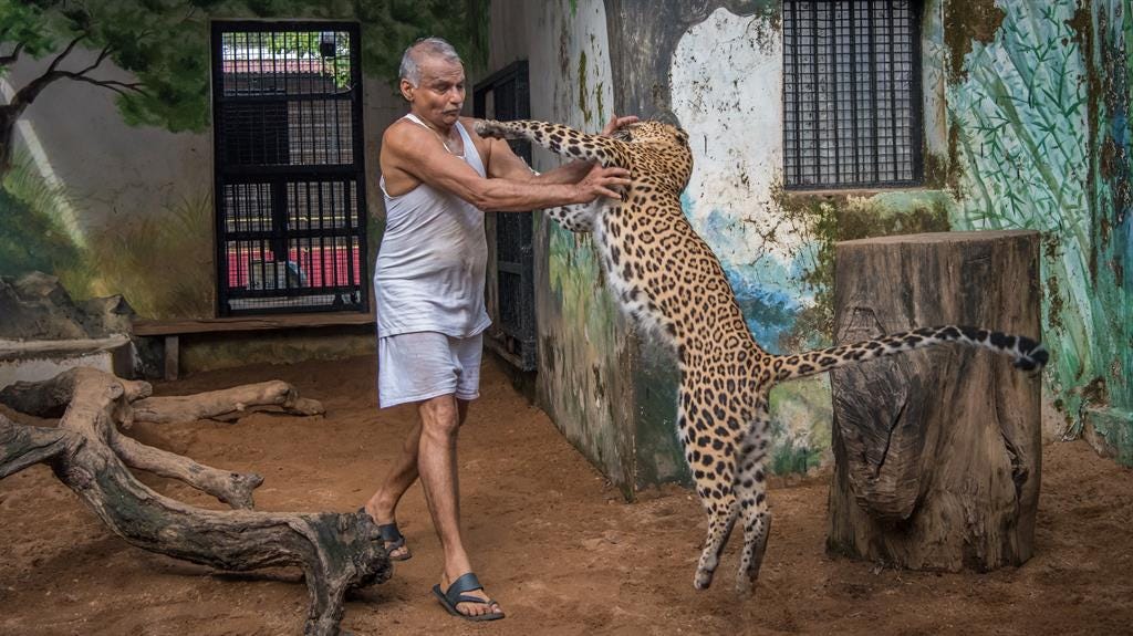 Saluting The Noah Of Animal Ark By Avinash Gavai Ketto Blog Medium