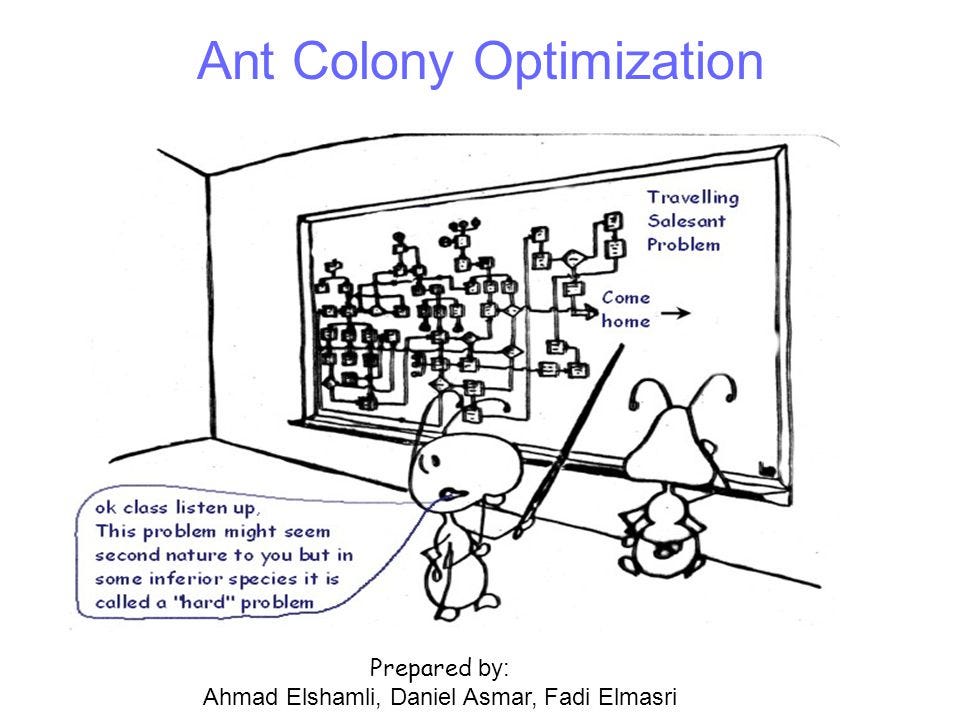 Using Ant Colony and Genetic Evolution to Optimize Ride-Sharing Trip  Duration | by James Le | Towards Data Science