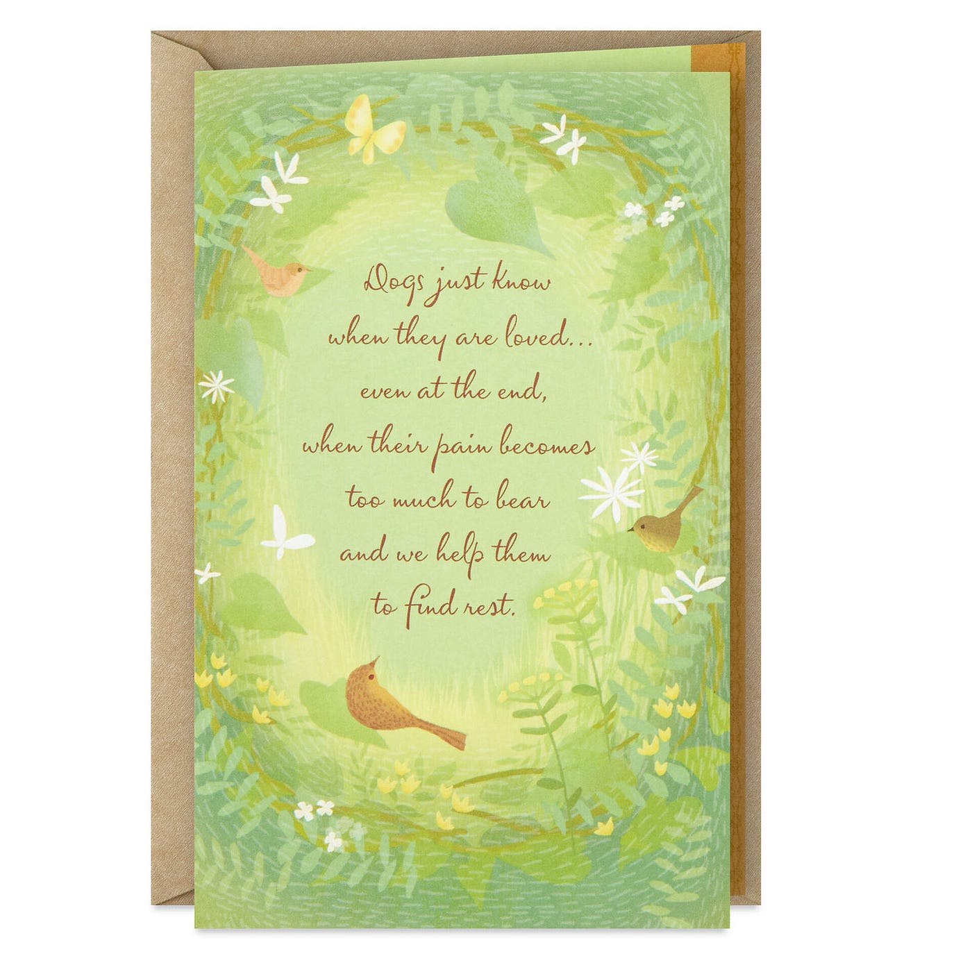 An Ultimate Sneak Peek at this Season's Drop Dead Sexiest Hallmark Cards |  by Eli Magers | Lady Pieces | Medium