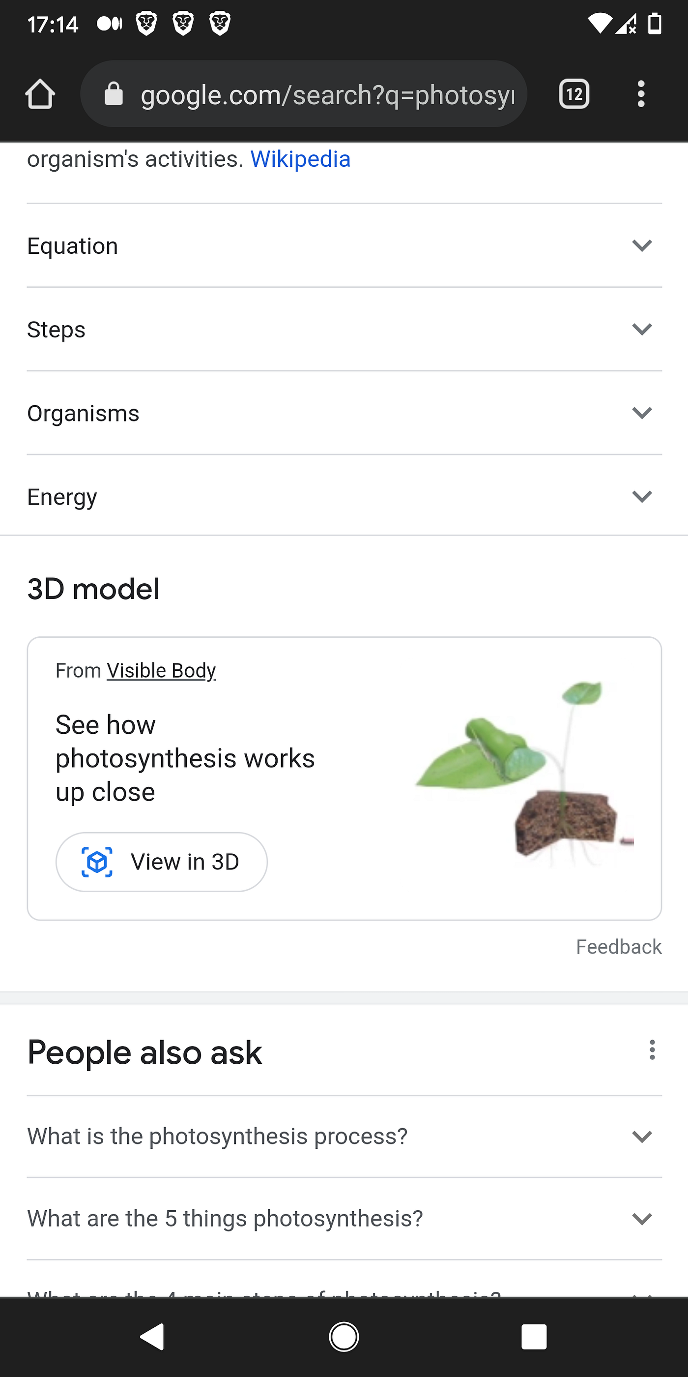 A sudden burst of green prompted some questions and experiments. Why