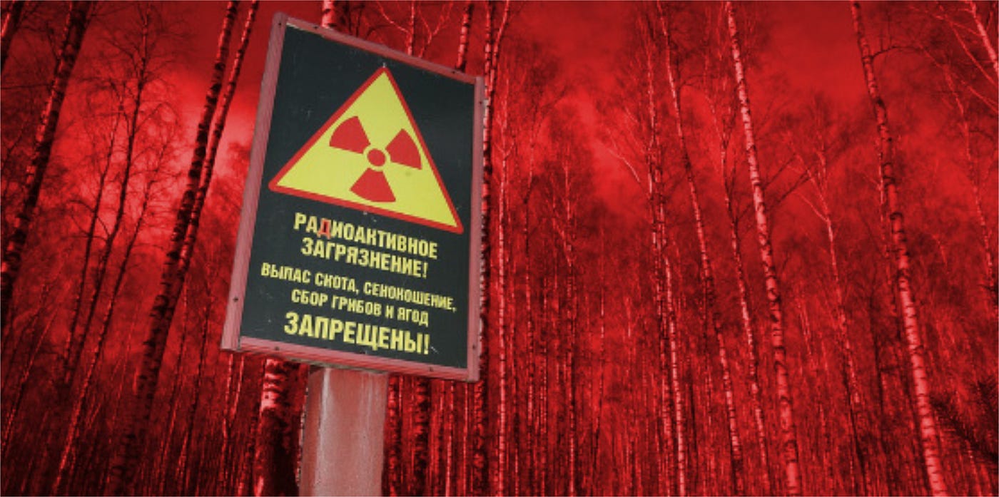 The Red Forest near Chernobyl, Ukraine