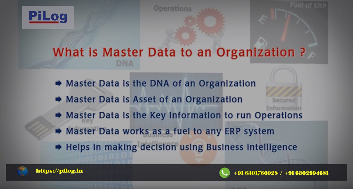 PiLog India — Master Data Experts | by PiLog India | Medium