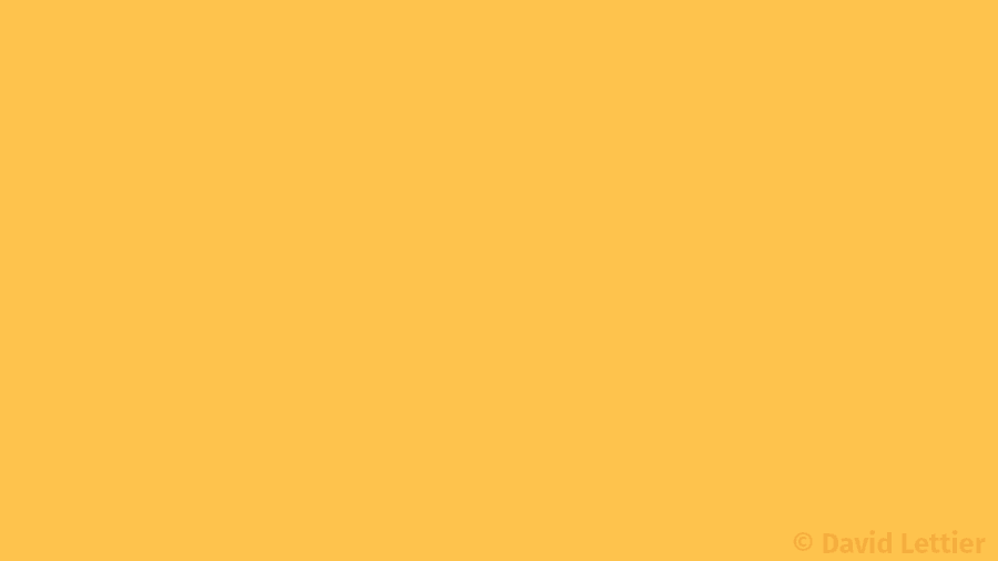 functor1