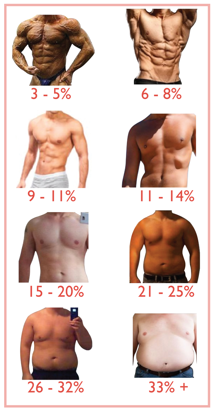 Of body fat percentages, BMI and body composition | by Rahul Gopal | Medium