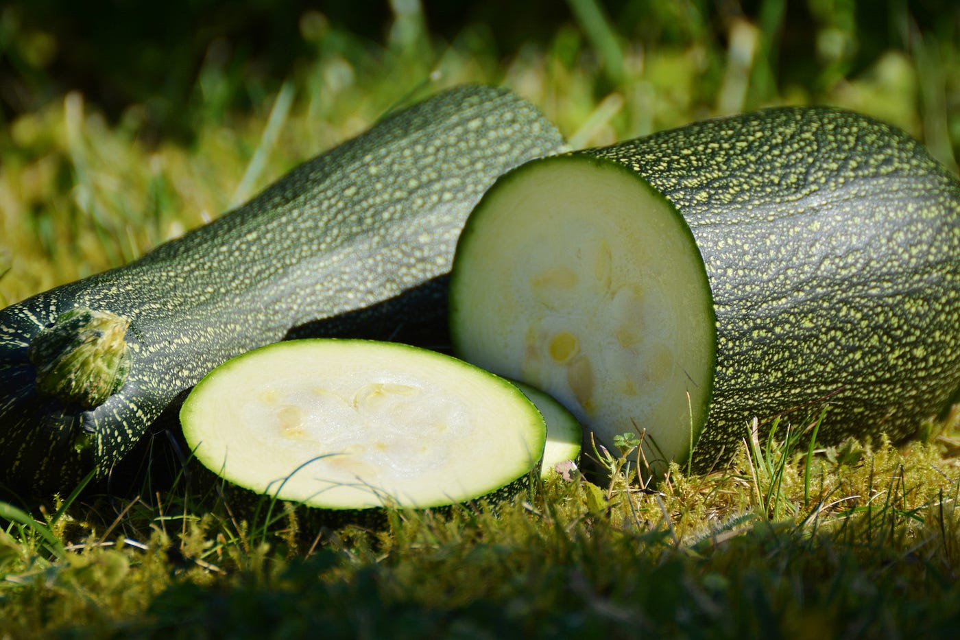 Man Hospitalized With Severe Clinical Depression After Mistaking Zucchini On Salad For Cucumber By P W Staples The Haven Medium
